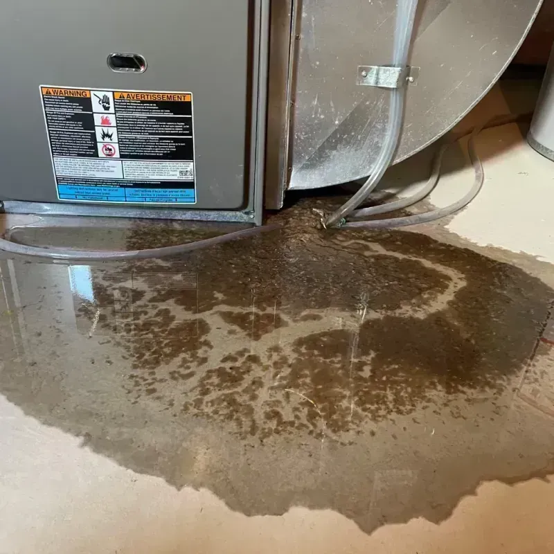 Appliance Leak Cleanup in Archie, MO